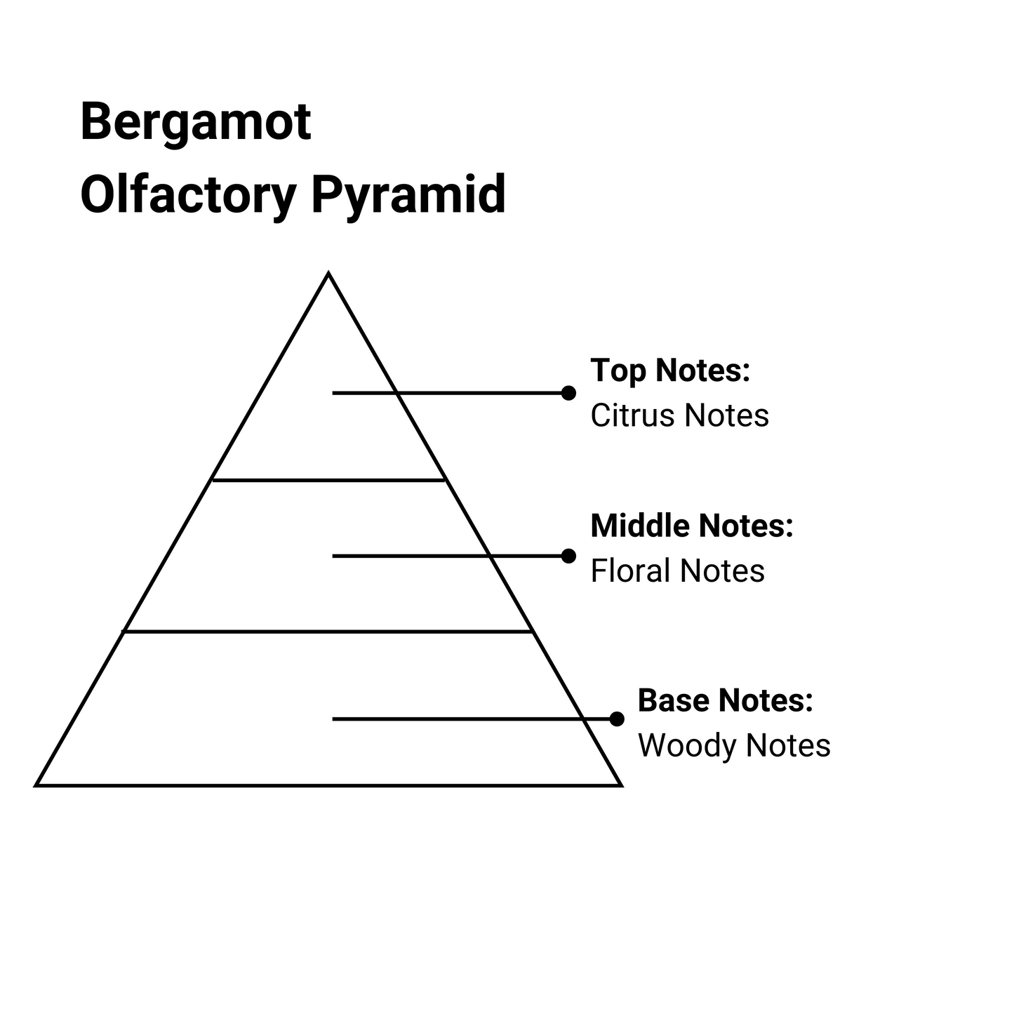 bergamot essence olfactory pyramid with top, middle and base notes in text