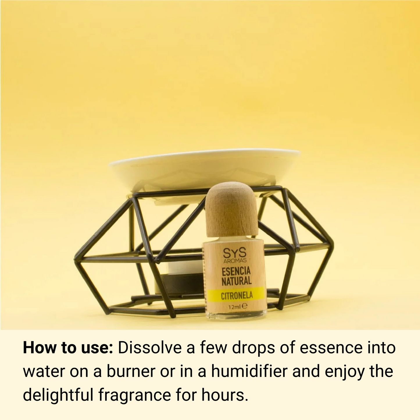citronella essence 12ml and essential oil burner