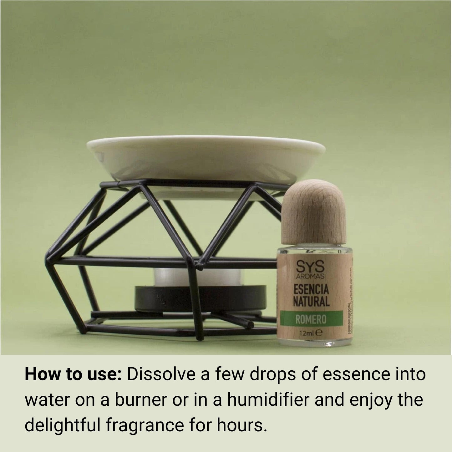 rosemary essence 12ml and essential oil burner