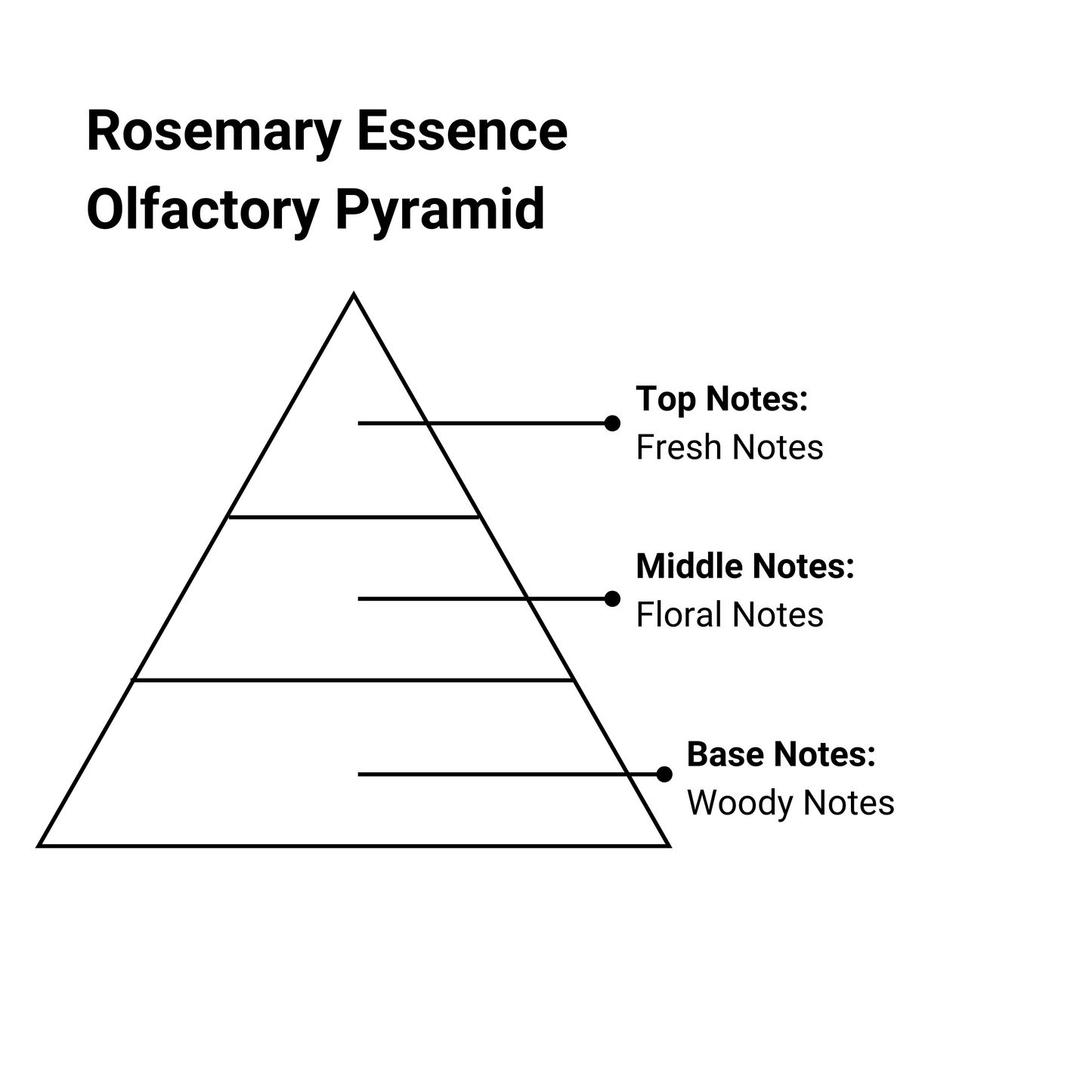 rosemary essence olfactory pyramid