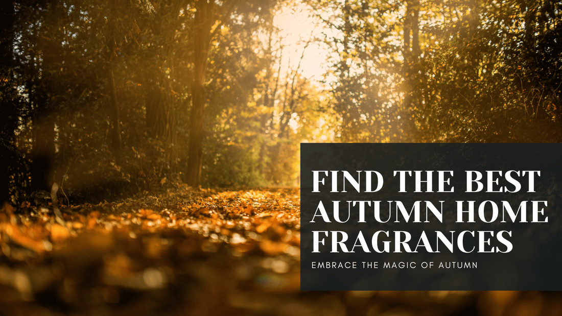 Autumn Forest Leaves