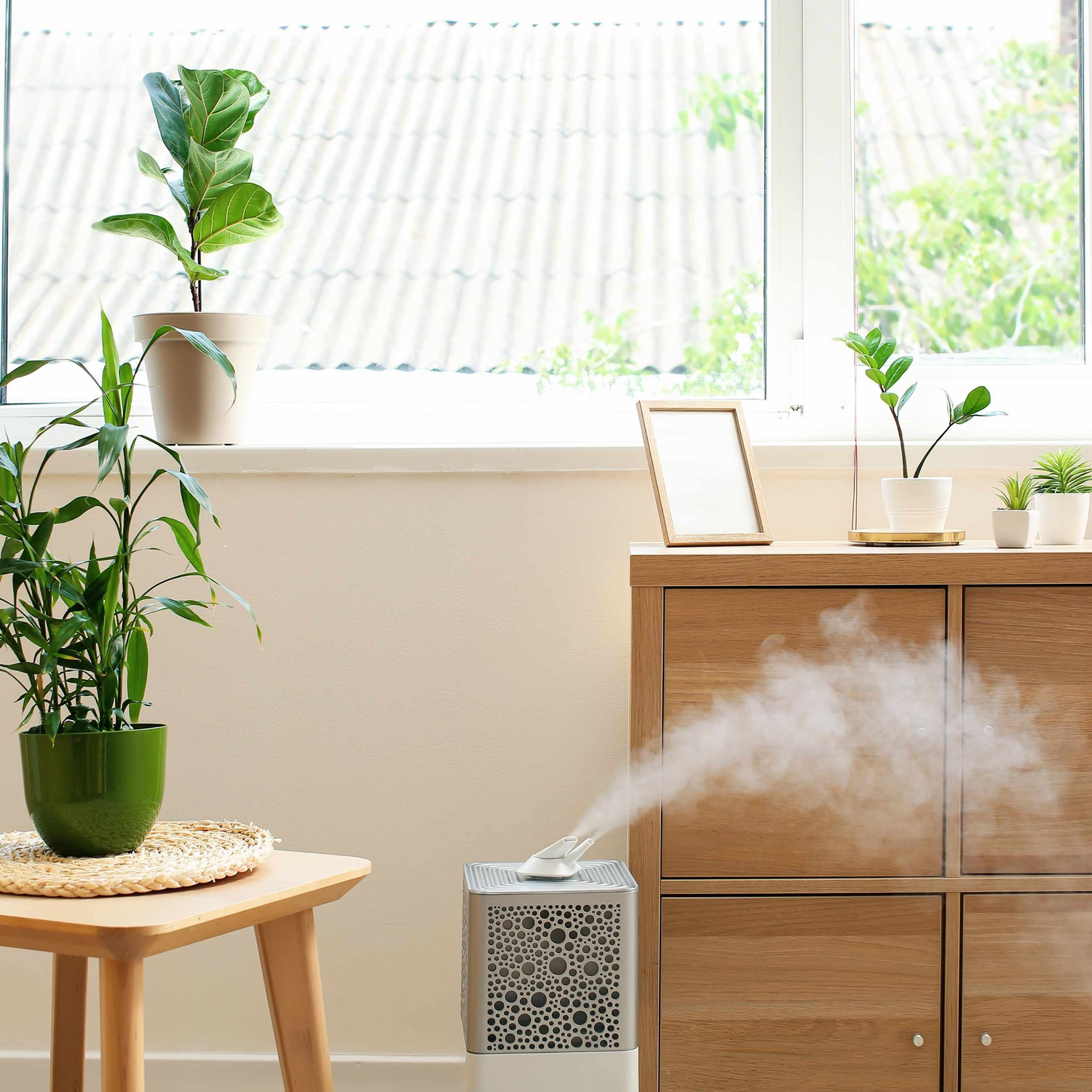 Long-lasting home fragrances that keep rooms smelling fresh and inviting throughout the day