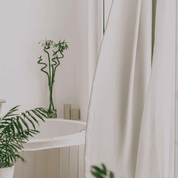Light-filled bathroom with small plants and sheer curtain blowing in breeze, evoking fresh natural home fragrance