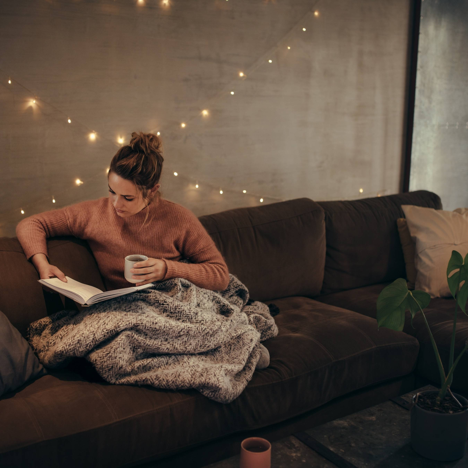 Fragrances for cozy spaces, designed to create a warm and inviting atmosphere perfect for relaxation.
