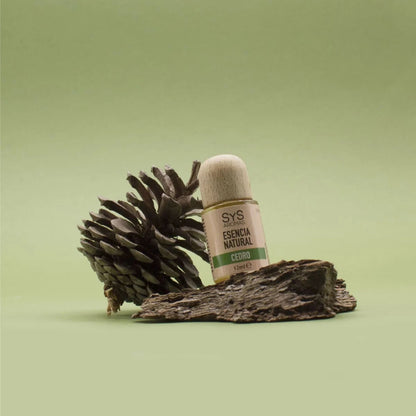 Bottle of natural essential oil with a pine cone on a wooden block against a green background