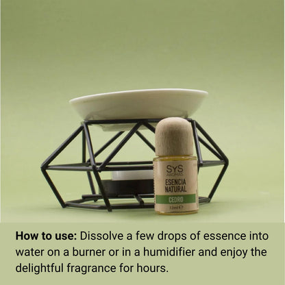 Bottle of essential oil with a diffuser on a green background