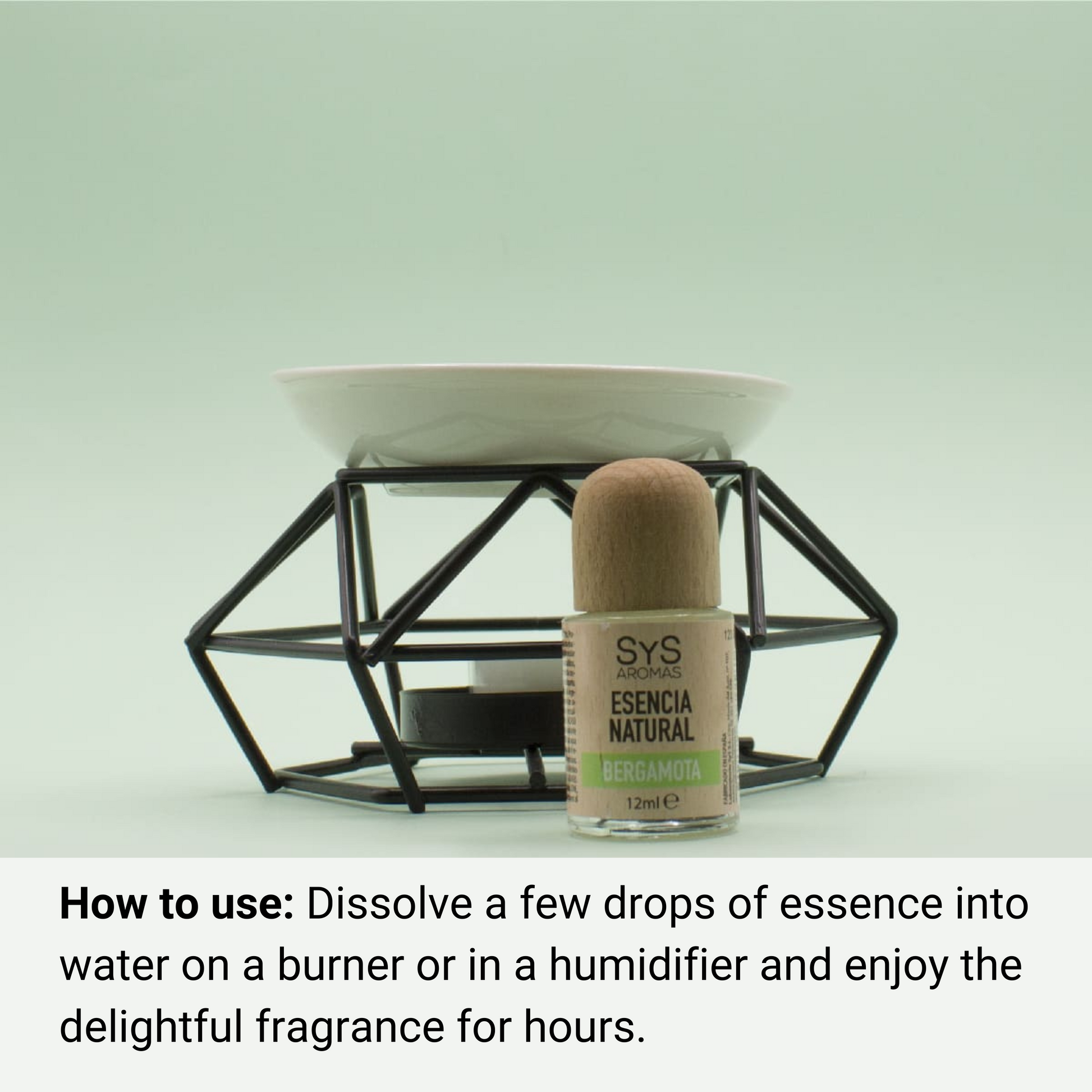bergamot essence 12ml and essential oil burner