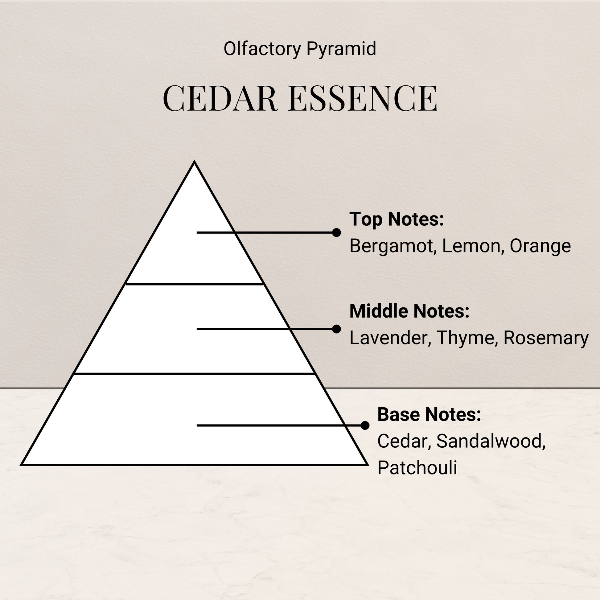 Olfactory pyramid diagram for 'Cedar Essence' with notes on top, middle, and base layers.