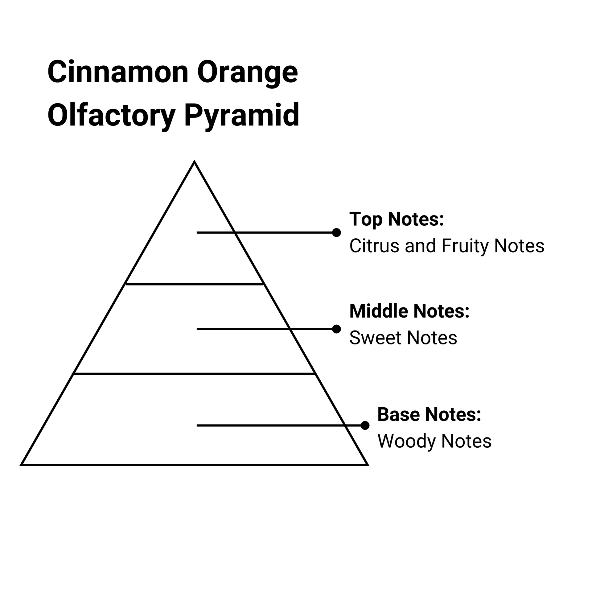 cinnamon orange olfactory pyramid with top, middle and base notes text