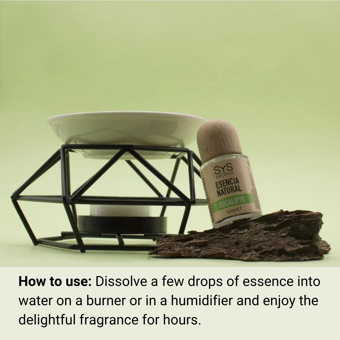 eucalyptus essence 12ml and essential oil burner