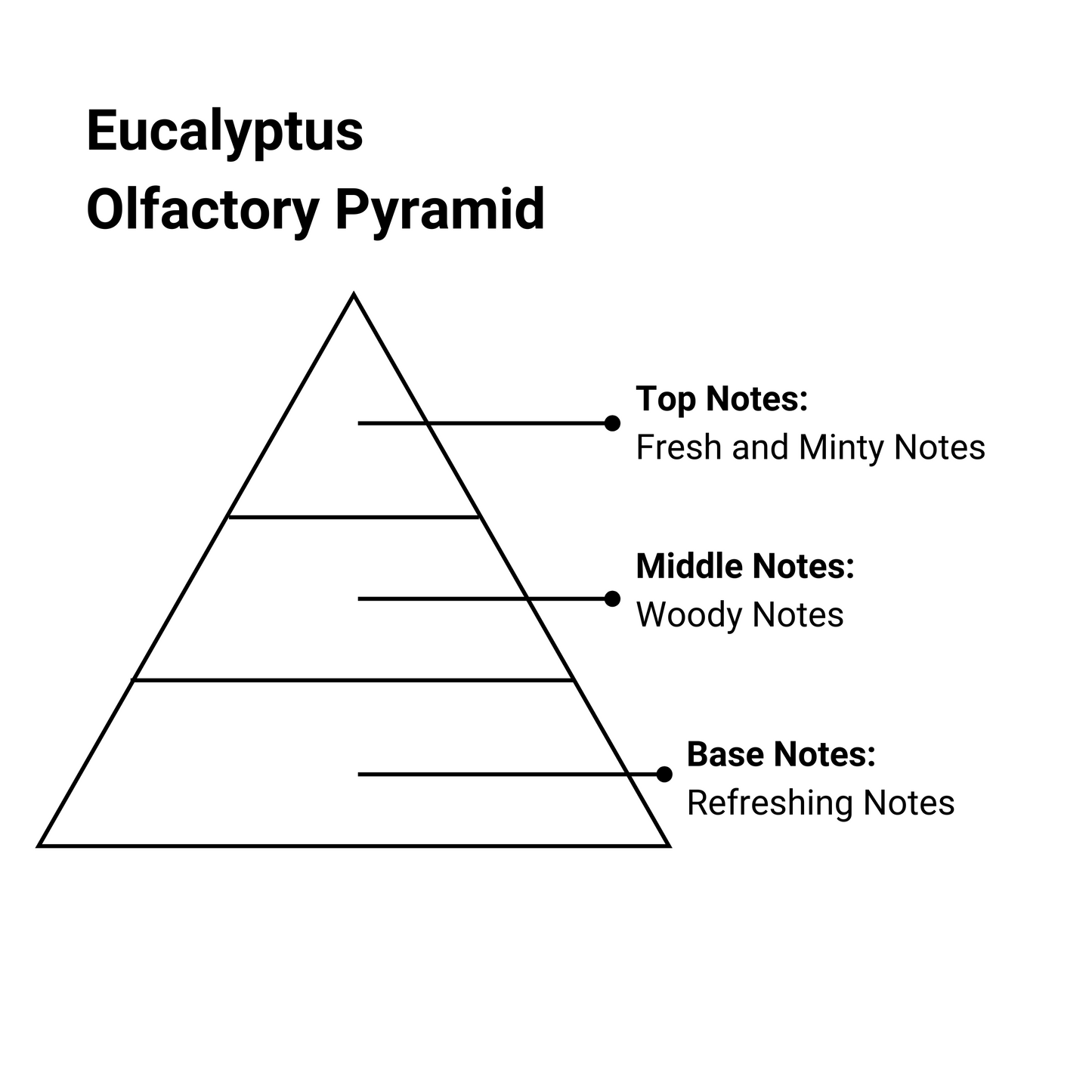 eucalyptus essence olfactory pyramid