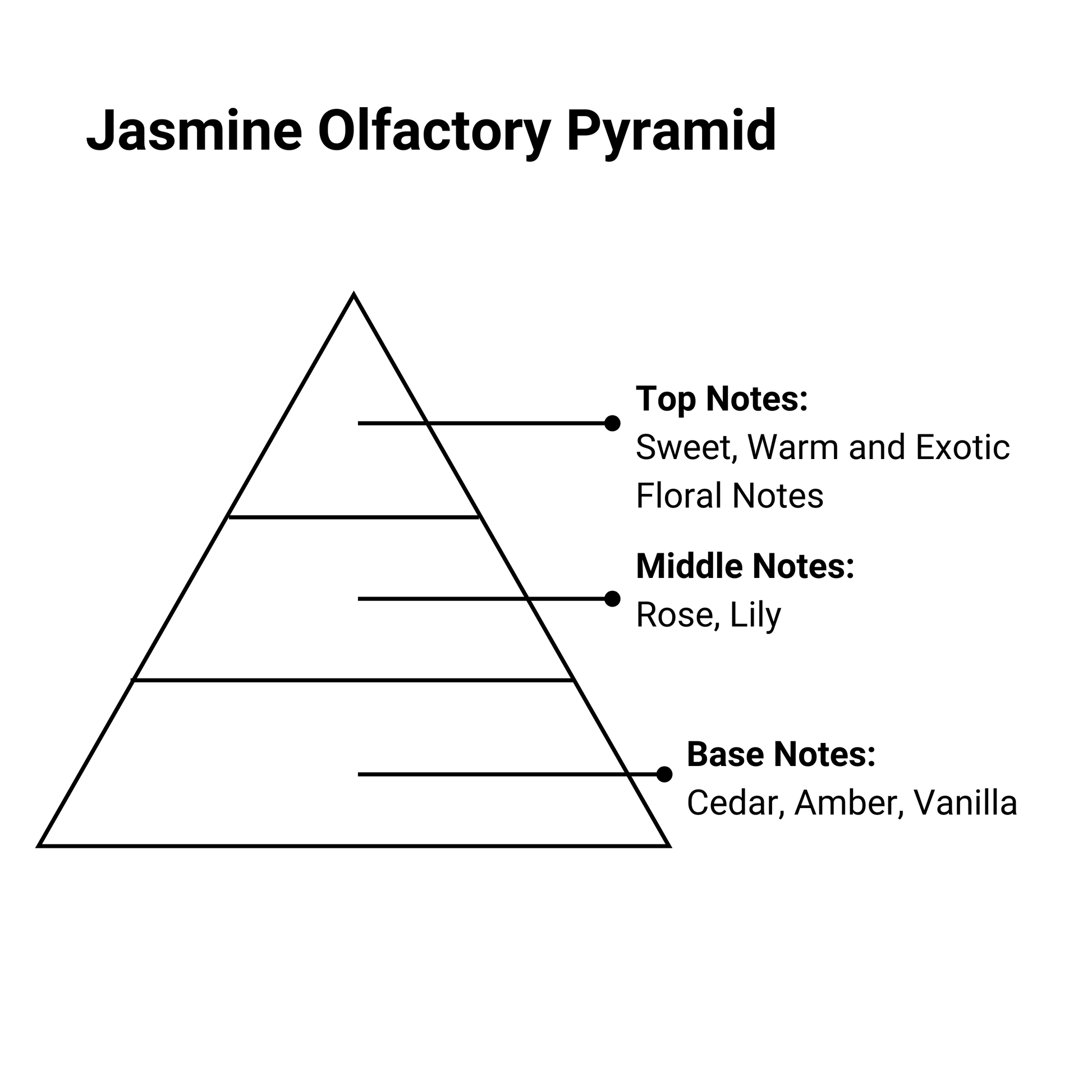 jasmine essence olfactory pyramid