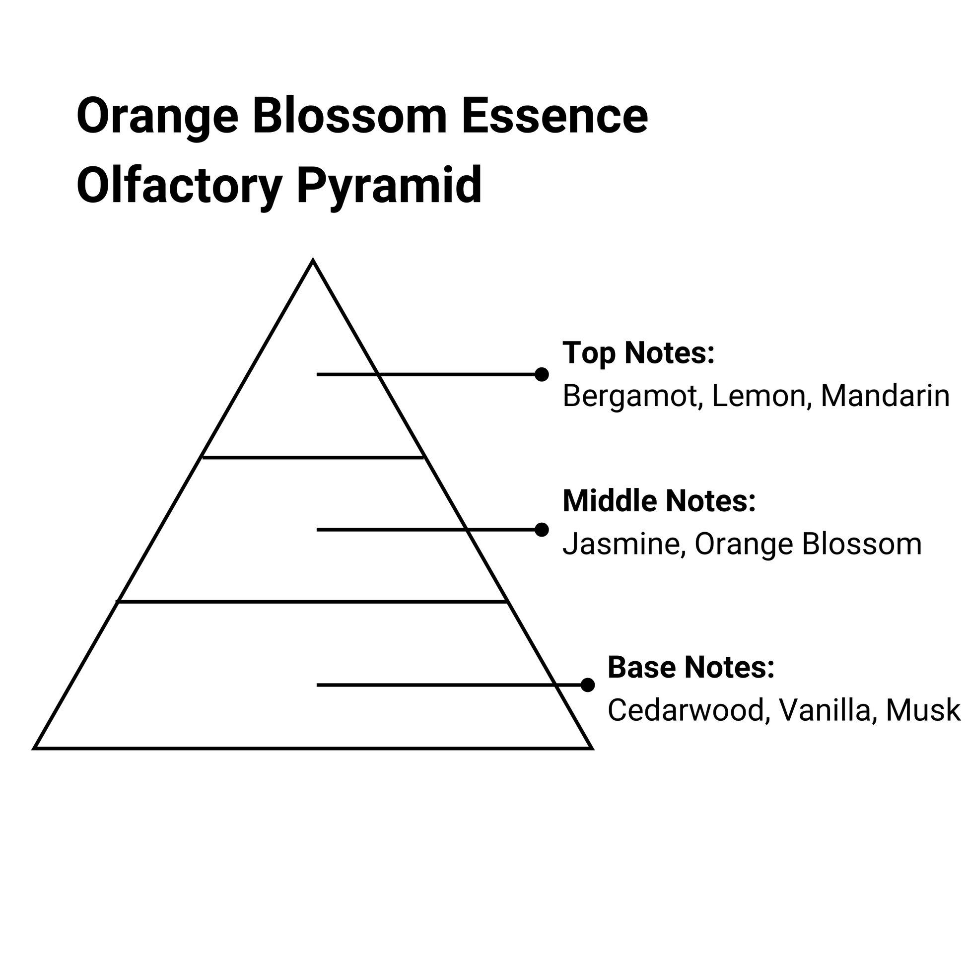 orange blossom essence olfactory pyramid