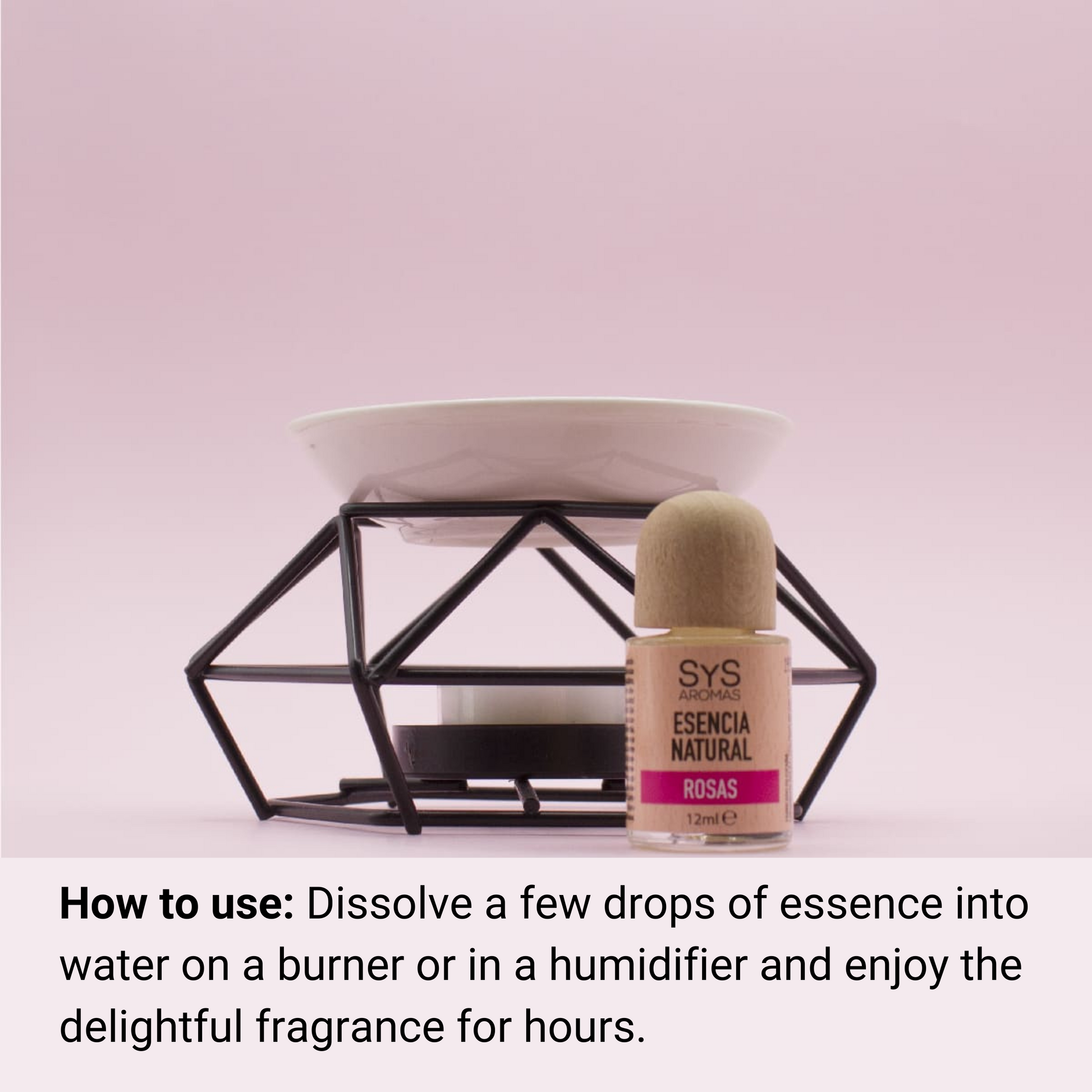 rose essence 12ml and essential oil burner