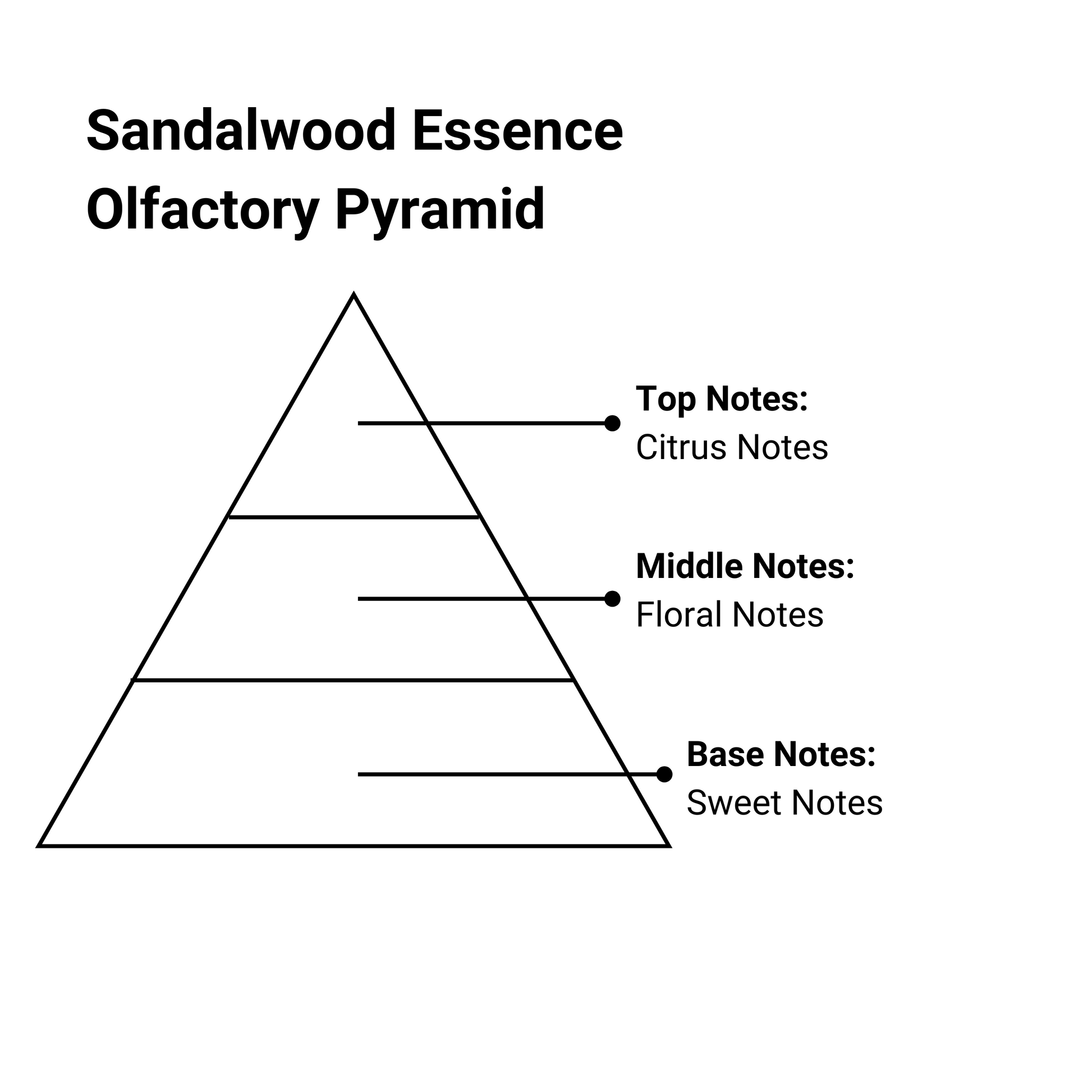 sandalwood essence olfactory pyramid
