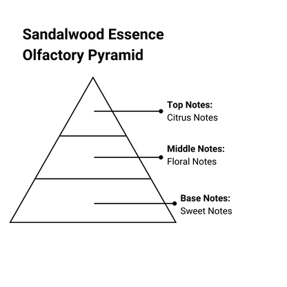 sandalwood essence olfactory pyramid