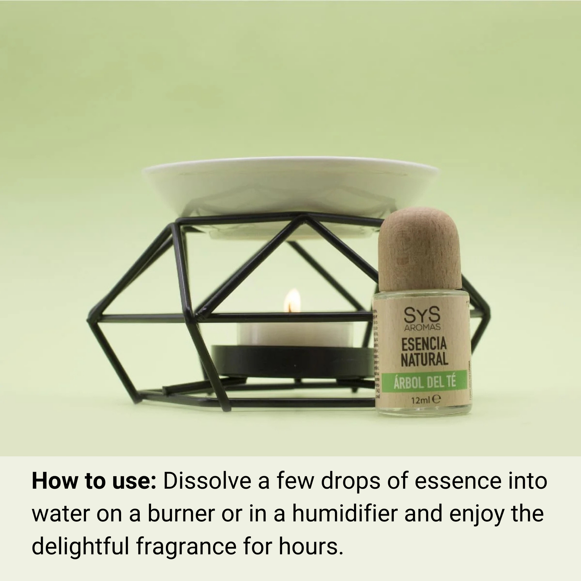 tea tree essence 12ml and essential oil burner